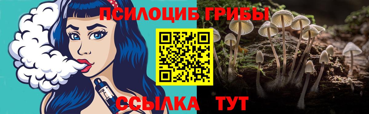Псилоцибиновые грибы Psilocybine cubensis Орехово-Зуево