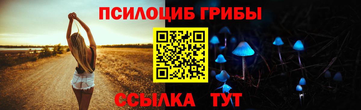 Галлюциногенные грибы Psilocybe  Галлюциногенные грибы ЛСД  Вход с VPN  Орехово-Зуево 